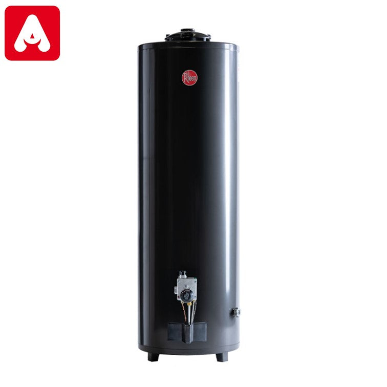 TERMOTANQUE RHEEM GRIS 10 150 LTS. GN APOYAR AL1650 AN510