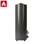 TERMOTANQUE RHEEM GRIS 10 150 LTS. GN APOYAR AL1650 AN510