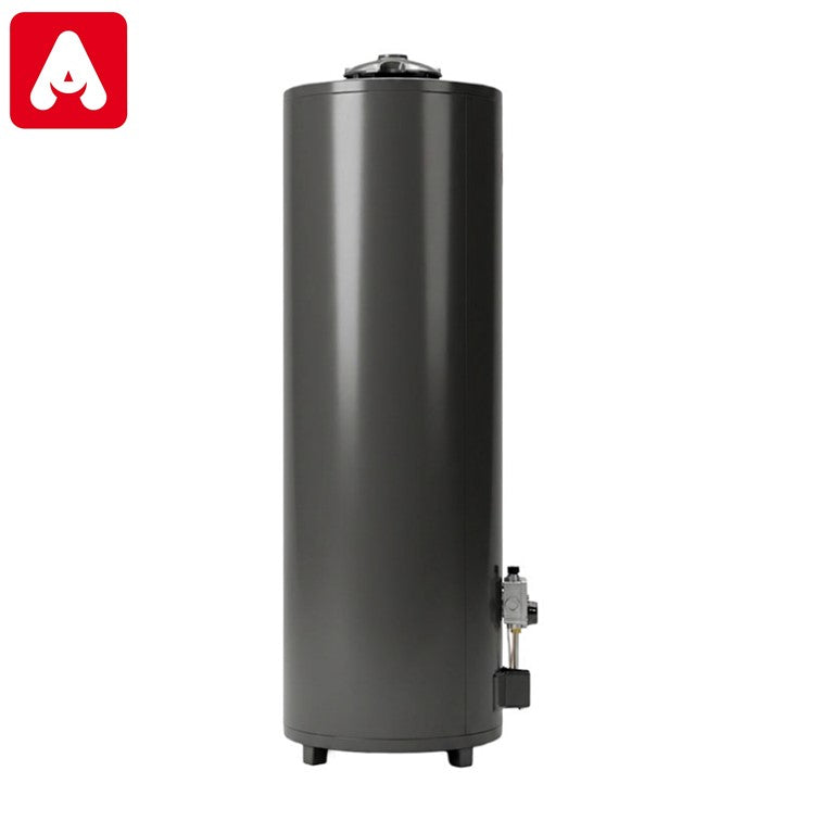 TERMOTANQUE RHEEM GRIS 10 150 LTS. GN APOYAR AL1650 AN510