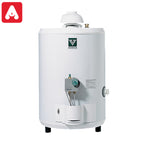 TERMOTANQUE VOLCAN 0050GV GAS NATURAL 50LTS APOY.C/SUP. - 4604948