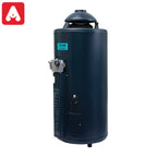 TERMOTANQUE ESKABE ACQUAPIU H800 HIBRYD4 SV MULTIGAS 5` T.VER.ALTA RECUP. - 4607987