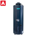 TERMOTANQUE ESKABE ACQUAPIU H1100SV HIBRYD4 SV MULTIGAS 5` T.VER.ALTA RECUP. - 4607988