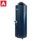TERMOTANQUE ESKABE ACQUAPIU H1100SV HIBRYD4 SV MULTIGAS 5` T.VER.ALTA RECUP. - 4607988