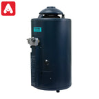 TERMOTANQUE ESKABE ACQUAPIU H360 HIBRYD4 SV MULTIGAS 3` ALTA RECUP. - 4608467