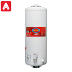 TERMOTANQUE ECOTERMO POPULI 100L.C/SUPERIOR GAS NATURAL - 5749