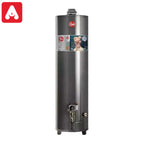 TERMOTANQUE RHEEM GRIS 10 160 ALTA POT.N/V. GAS ENVASADO - 6093