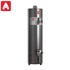 TERMOTANQUE RHEEM GRIS 10 160 ALTA POT.N/V. GAS ENVASADO - 6093