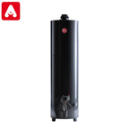 TERMOTANQUE RHEEM GRIS 10 160 ALTA POT.N/V. GN ODS C/ PILOTO ANALIZ.
