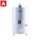 TERMOTANQUE SHERMAN 50 LTS. MG APOYAR, SUPERIOR B/CONSUMO