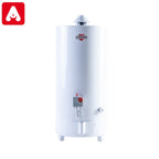 TERMOTANQUE SHERMAN 80 LTS. MG APO.B/CONSUMO APOYAR SUPERIOR